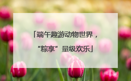 端午趣游动物世界，“粽享”量级欢乐