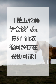 第五轮美伊会谈气氛良好 铀浓缩问题存在妥协可能