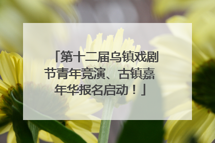 第十二届乌镇戏剧节青年竞演、古镇嘉年华报名启动！