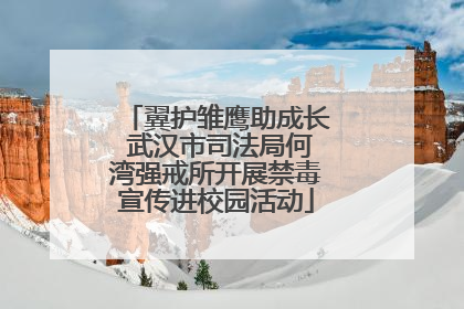 翼护雏鹰助成长 武汉市司法局何湾强戒所开展禁毒宣传进校园活动