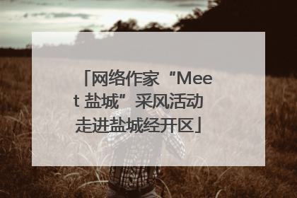 网络作家“Meet 盐城”采风活动走进盐城经开区