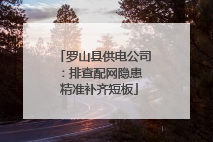 罗山县供电公司：排查配网隐患 精准补齐短板