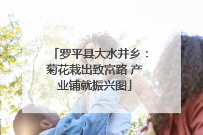 罗平县大水井乡：菊花栽出致富路 产业铺就振兴图