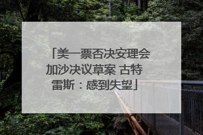美一票否决安理会加沙决议草案 古特雷斯：感到失望