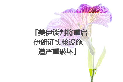 美伊谈判将重启 伊朗证实核设施遭严重破坏