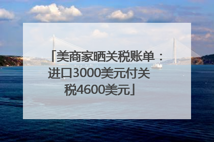 美商家晒关税账单：进口3000美元付关税4600美元