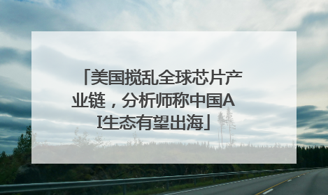美国搅乱全球芯片产业链，分析师称中国AI生态有望出海