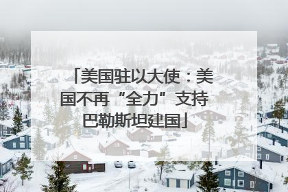 美国驻以大使：美国不再“全力”支持巴勒斯坦建国