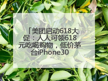 美团启动618大促：人人可领618元吃喝购物，低价茅台iPhone30分钟送达