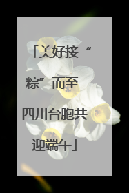 美好接“粽”而至 四川台胞共迎端午