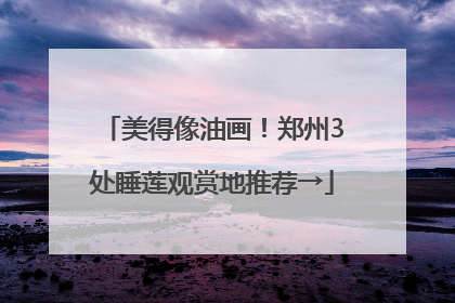 美得像油画！郑州3处睡莲观赏地推荐→