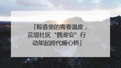 粽香里的青春温度，花堤社区“鹤耋安”行动架起跨代暖心桥