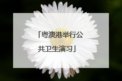 粤澳港举行公共卫生演习