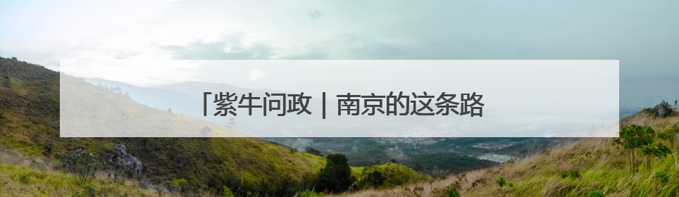 紫牛问政｜南京的这条路缘何留了200米不种树