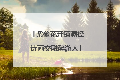 紫薇花开铺满径 诗画交融醉游人