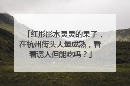 红彤彤水灵灵的果子，在杭州街头大量成熟，看着诱人但能吃吗？