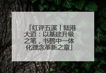 红评五溪丨陆港大道：以基建升级之笔，书鹤中一体化理念革新之章