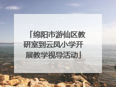 绵阳市游仙区教研室到云凤小学开展教学视导活动