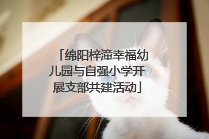 绵阳梓潼幸福幼儿园与自强小学开展支部共建活动