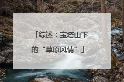 综述：宝塔山下的“草原风情”