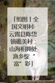 组图丨全国文明村·云霄县陈岱镇礁美村：山海相拥处 渔乡绽“富”彩