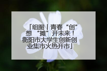 组图丨青春“创”想 “摊”开未来！衡阳市大学生创新创业集市火热开市