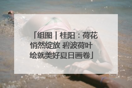 组图｜桂阳：荷花悄然绽放 碧波荷叶绘就美好夏日画卷
