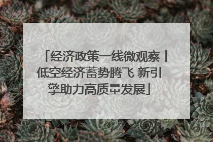经济政策一线微观察丨低空经济蓄势腾飞 新引擎助力高质量发展