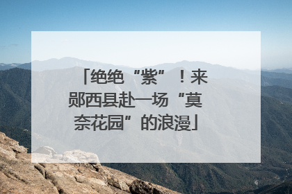 绝绝“紫”！来郧西县赴一场“莫奈花园”的浪漫