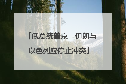 俄总统普京：伊朗与以色列应停止冲突