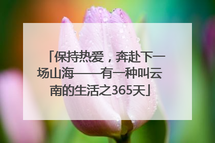 保持热爱，奔赴下一场山海——有一种叫云南的生活之365天