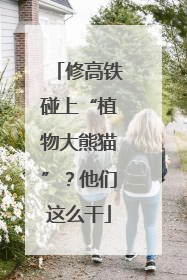 修高铁碰上“植物大熊猫”？他们这么干