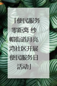 便民服务零距离 纱帽街道月亮湾社区开展便民服务日活动