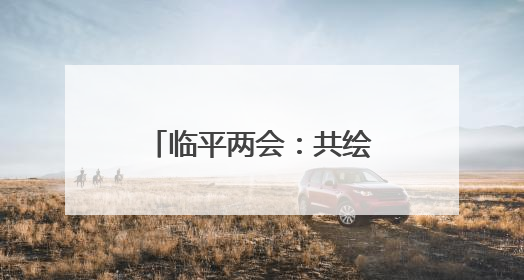 临平两会：共绘城市发展新图景，代表委员有话说