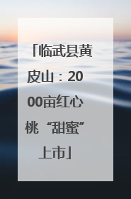 临武县黄皮山：2000亩红心桃“甜蜜”上市