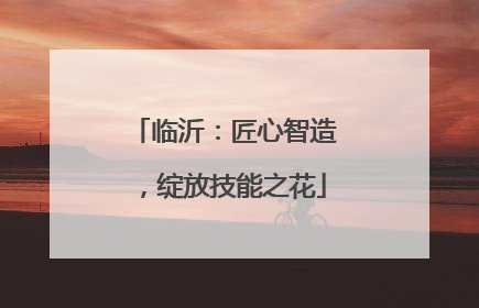 临沂：匠心智造，绽放技能之花