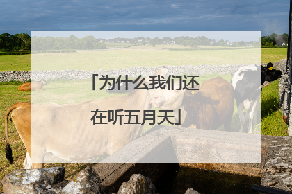 为什么我们还在听五月天