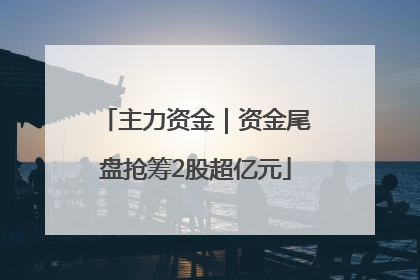 主力资金｜资金尾盘抢筹2股超亿元