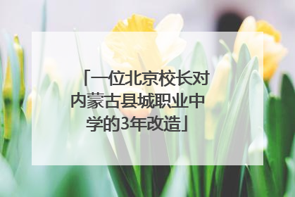 一位北京校长对内蒙古县城职业中学的3年改造