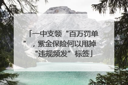 一中支领“百万罚单”，紫金保险何以甩掉“违规频发”标签