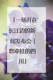 一场开在长江边的新闻发布会｜您牵挂的四川