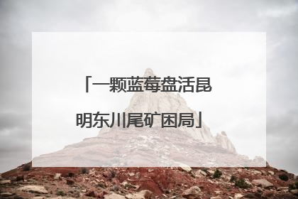一颗蓝莓盘活昆明东川尾矿困局