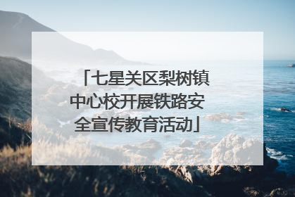 七星关区梨树镇中心校开展铁路安全宣传教育活动