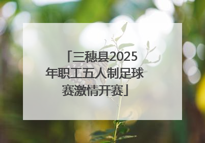三穗县2025年职工五人制足球赛激情开赛