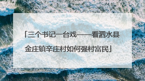 三个书记一台戏——看泗水县金庄镇辛庄村如何强村富民