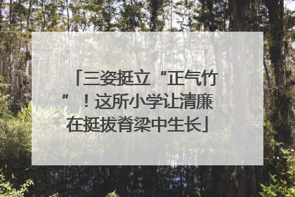 三姿挺立“正气竹”！这所小学让清廉在挺拔脊梁中生长