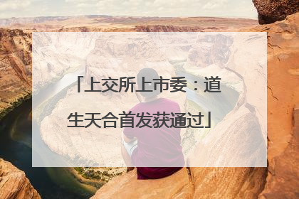 上交所上市委：道生天合首发获通过