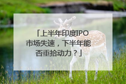 上半年印度IPO市场失速，下半年能否重拾动力？