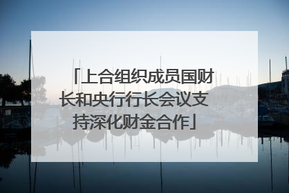 上合组织成员国财长和央行行长会议支持深化财金合作