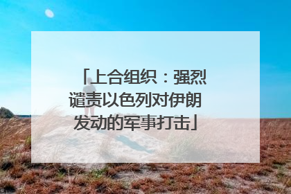 上合组织：强烈谴责以色列对伊朗发动的军事打击
